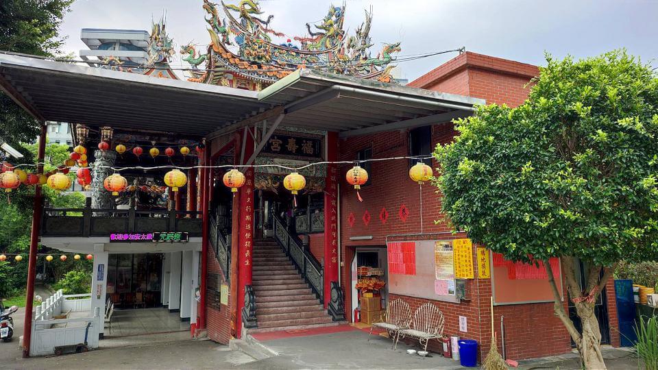 炮竹聲響神明雞驚嚇落跑 新北動保員救雞命安養餘生