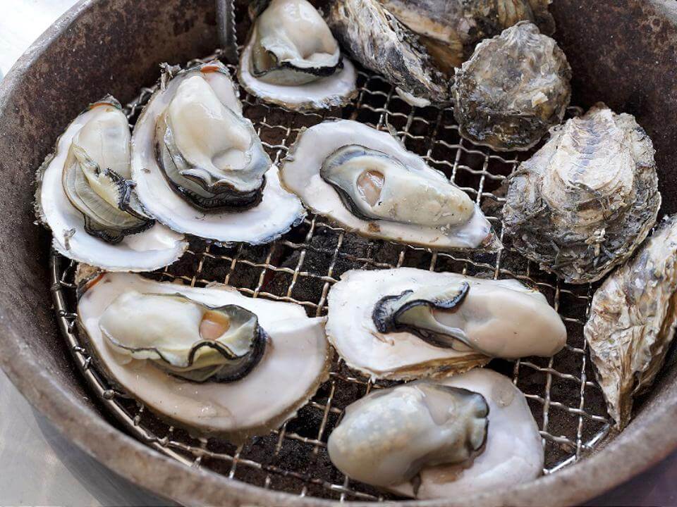 嘉義東石烤蚵最「鋅」鮮 品嚐海味別錯過