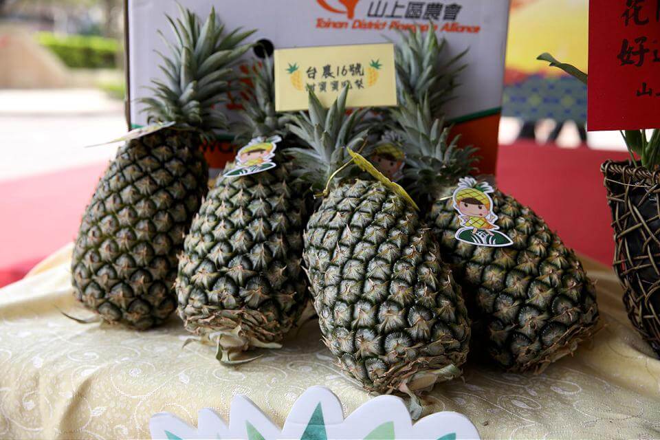 南北市長聯手促銷當季鳳梨 84噸甜蜜滋味一銷而空