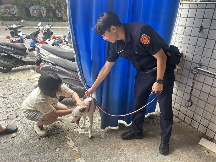 我的狗不見了!飼主急壞 波麗士大人臉書助返家